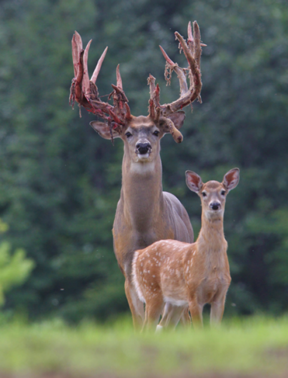 6272d4643c03b2d8c081f6d850d92567