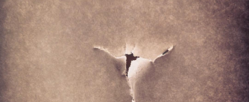 72246248_407765033245885_141477700198989824_n