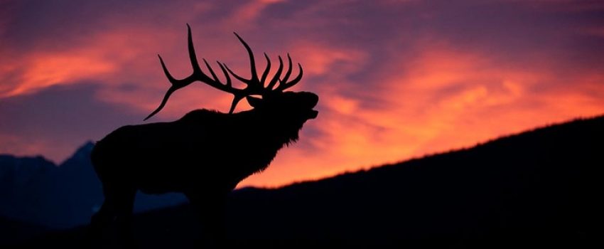 7356a56fb9f311136b626fa6d9b5f55b