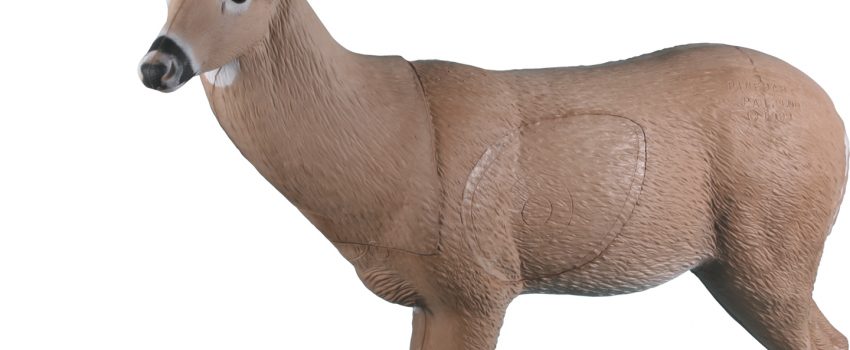 777_1hi_big10buck_hr[1]