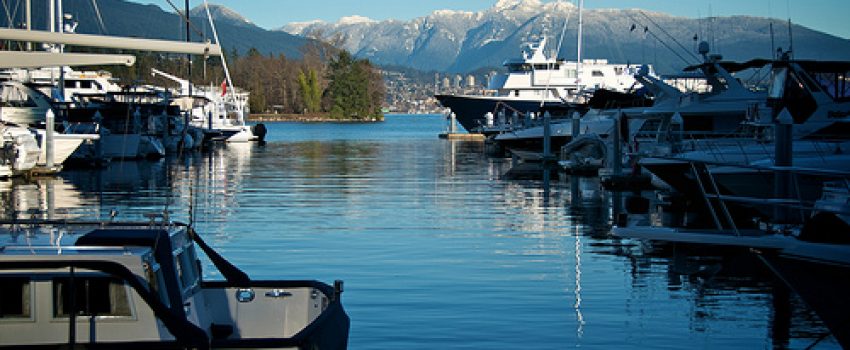 Boats Photo by Bark - Creative Commons