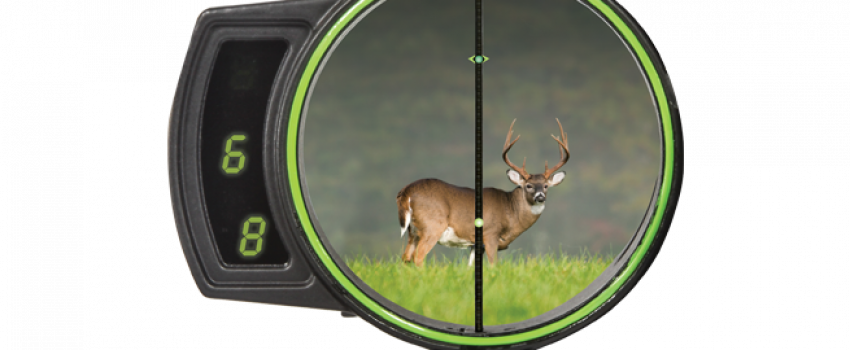 A ground blind will give you the concealment needed for a careful shot.  The Burris Oracle sight automatically determines range and aiming point.