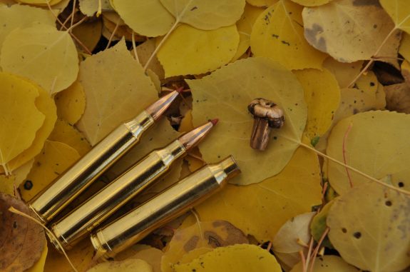 CO Rifle Elk 2011 151