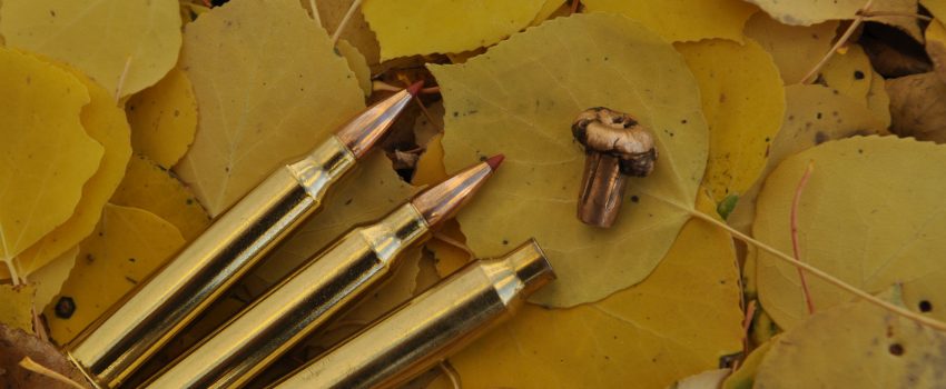 CO Rifle Elk 2011 151