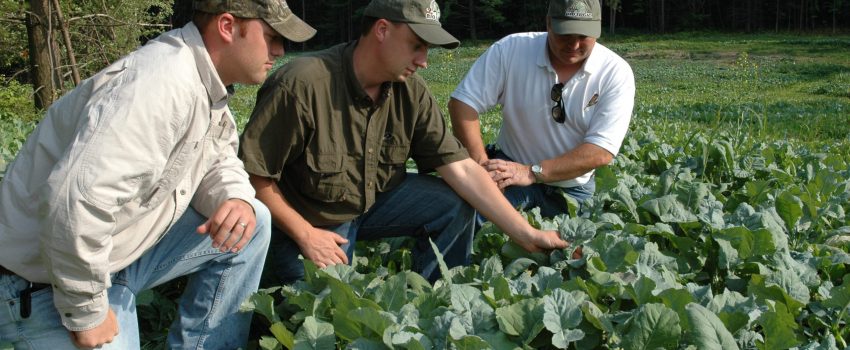 Craig and Neal Dougherty have been pioneers in the QDMA movement.