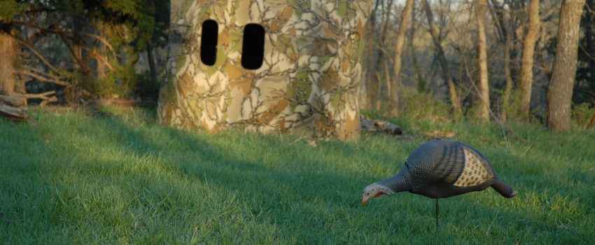 These 10 items can help you score.