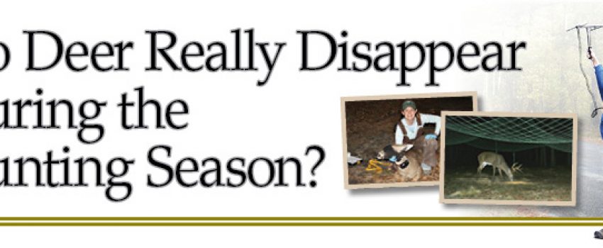 Deer-Disappear-Lead_opt