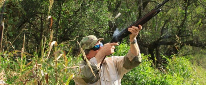 Dove-hunting-opener-800x533[1]