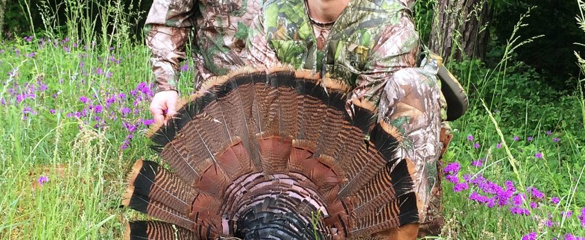 You can hunt gobblers successfully even on a tight family budget