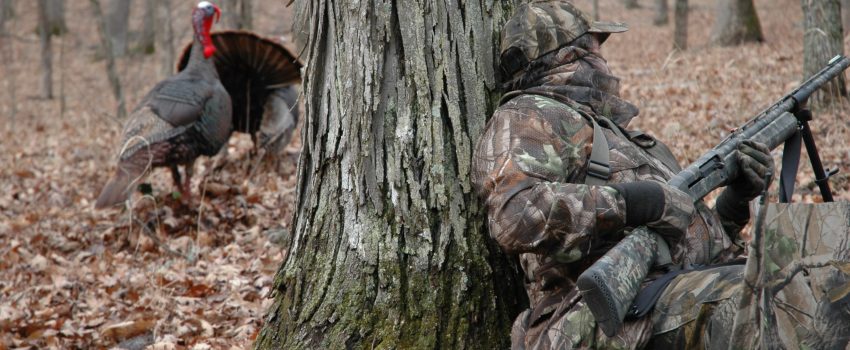 Heartland Ranch Turkey 022