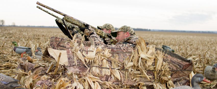 View More: http://howardcommunications.pass.us/hcphotolibrary