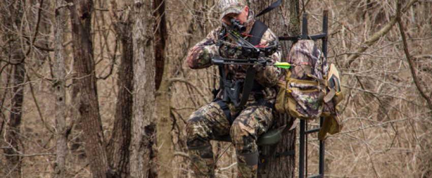 View More: http://howardcommunications.pass.us/hcphotolibrary