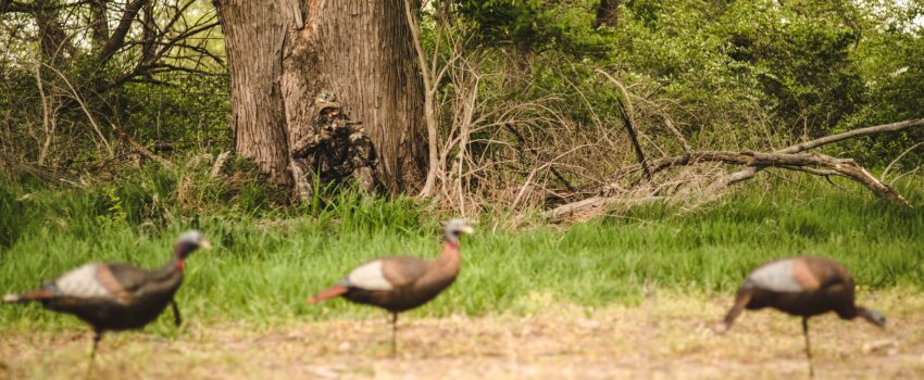 View More: http://howardcommunications.pass.us/hcphotolibrary