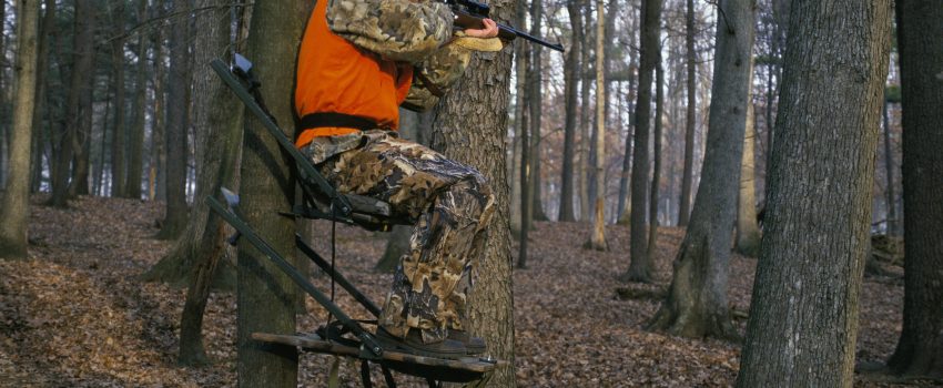 Hunter_in_Deer_Stand