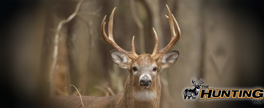 HuntingPage