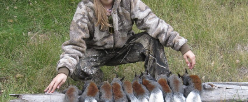 IMG_7056 Photo by Arizona Game and Fish Department