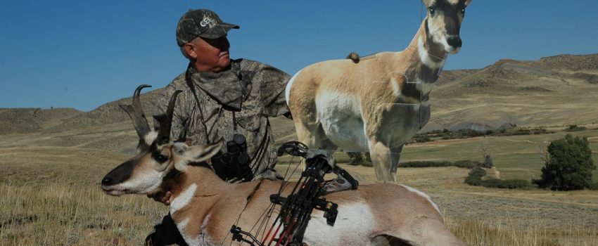 Decoys are a great lure to buck antelope during the archery season.