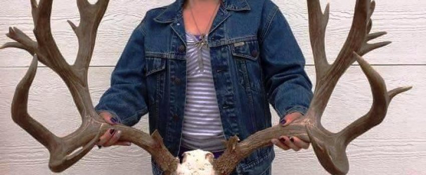 This mosnter mule deer was taken in Colorado in 2014.