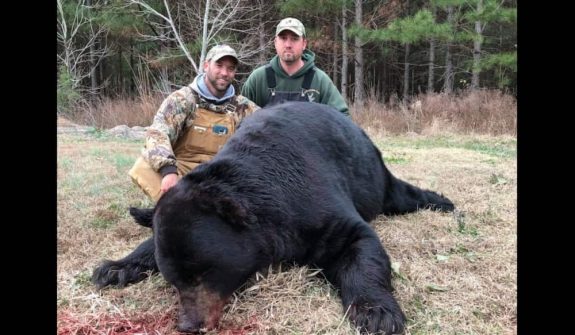 NorthCarolinaBlackBear