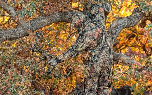 A tree stand can become red hot as the breeding season approaches.
