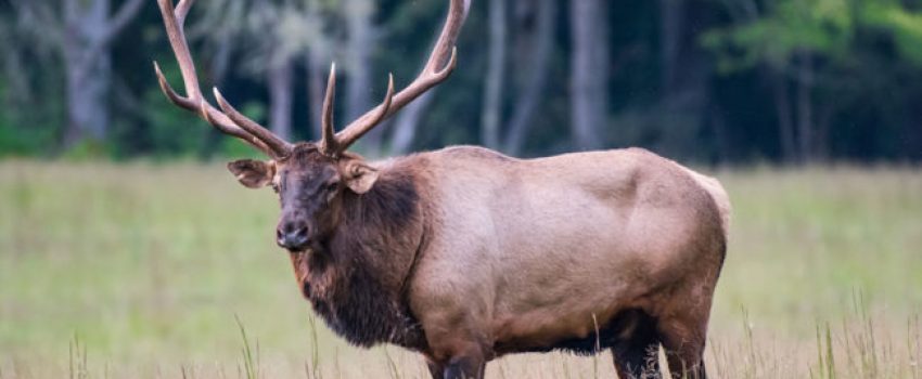 The trophy of a lifetime just walked away.
