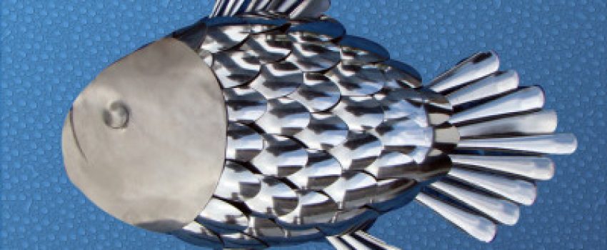 Petit-spoon-fish-Photo-by-DonSculpture.com--e1383867159535