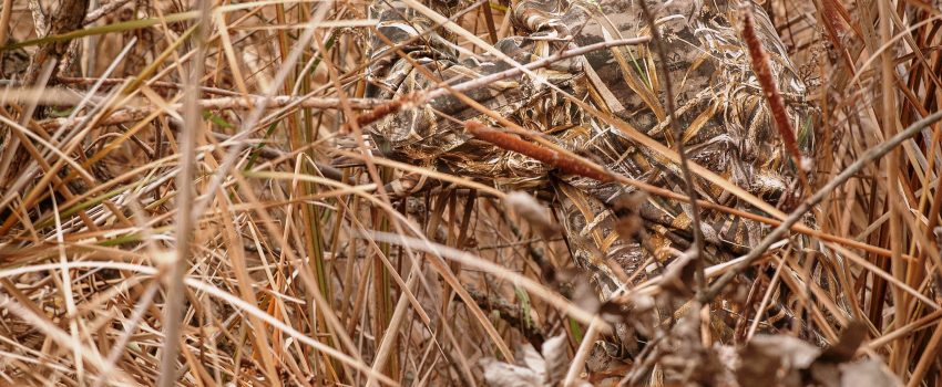 Realtree_MAX_5_reeds[1]