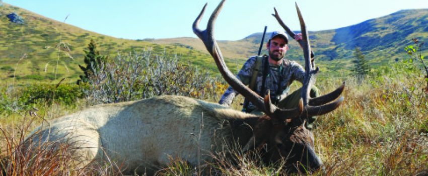 An Alaska elk hunt is pure adventure.