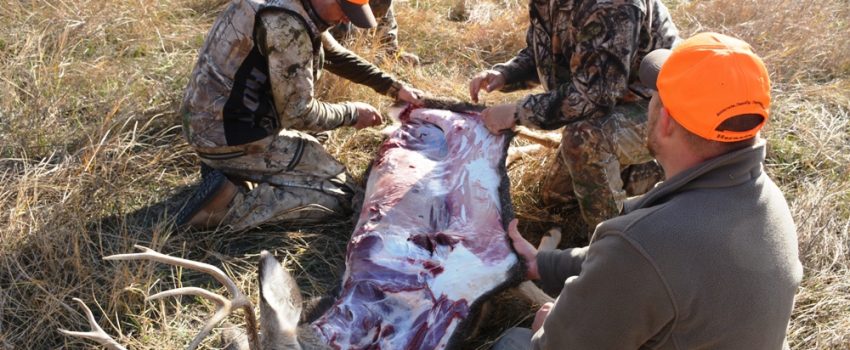 Once you see how easily a deer can be skinned and quartered, you'll be able to do it quickly in the field.