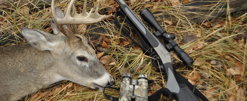 SD Deer Oct 2011 430