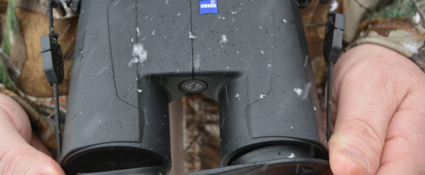 SD Muz Deer 2013 036