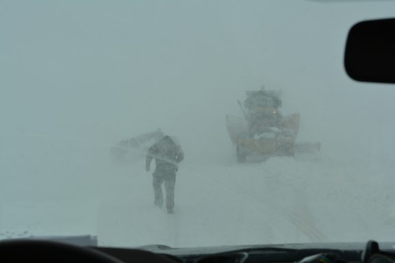 SD Muz Deer 2013 068