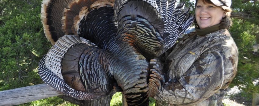 SD Spring Turkey 2012 078 (1024x680)