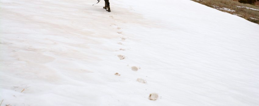 SD Turkey 2013 090 - Copy