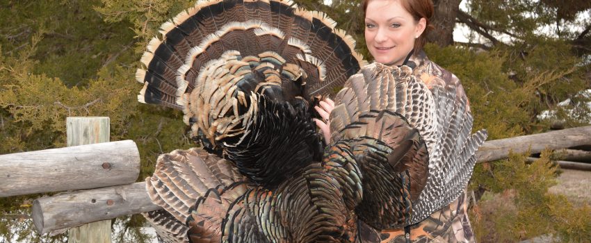 SD Turkey 2013 159