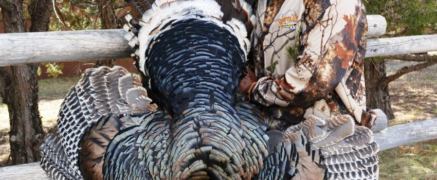 SD Turkey 2014 197