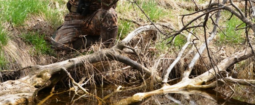 Mossberg shotguns are available in THUG combo systems that provide multiple use from a single frame.