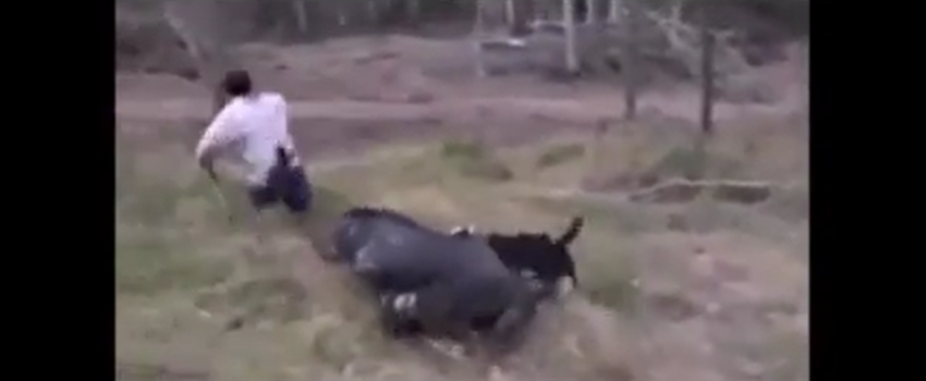 Screenshot 2016-01-27 05.39.58