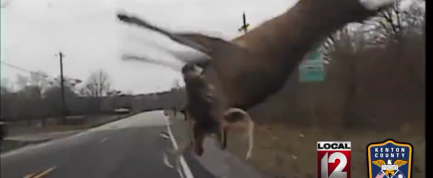 Screenshot 2016-02-24 06.59.17