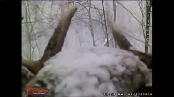 Screenshot 2016-02-24 08.41.47