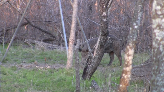 Screenshot 2016-03-21 08.11.59