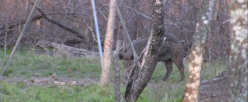 Screenshot 2016-03-21 08.11.59