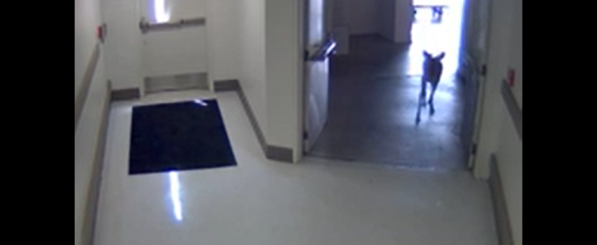 Screenshot 2016-04-07 05.41.19