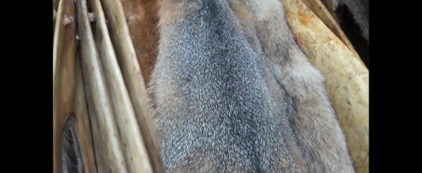 Screenshot 2016-05-02 06.08.44