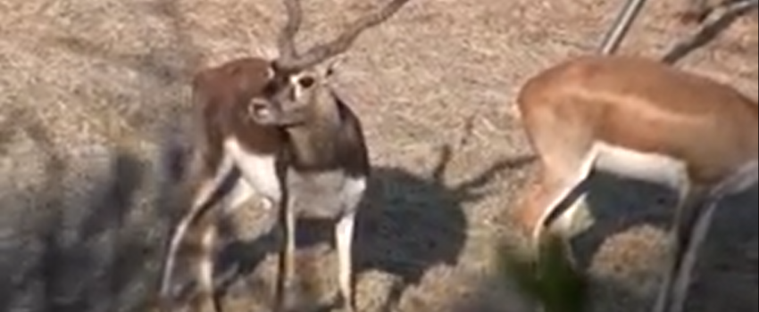 Screenshot 2016-05-11 04.22.33