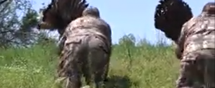 Screenshot 2016-05-13 05.51.08