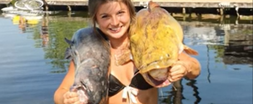 Screenshot 2016-06-21 07.18.57