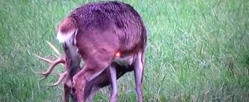 Screenshot 2016-07-05 07.37.12