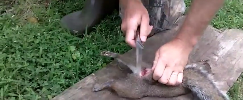 Screenshot 2016-07-23 15.26.43