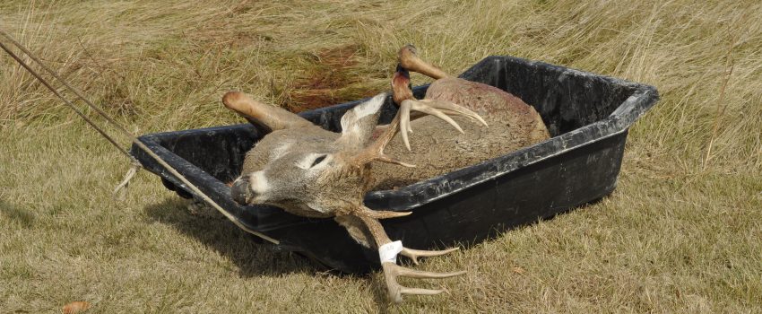 South Dak Muz Deer 2010 627